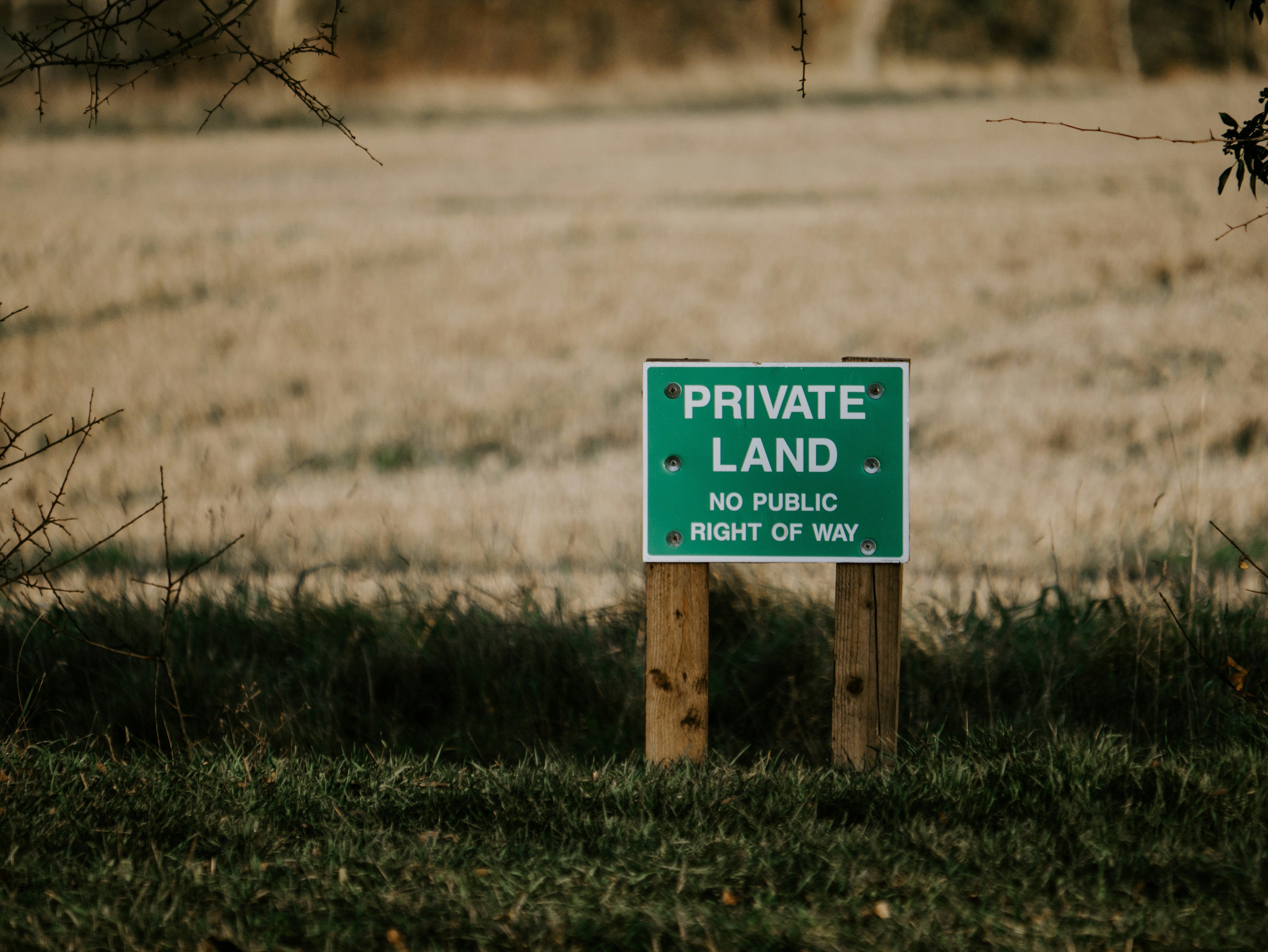 You can improve email deliverability with a personal domain
