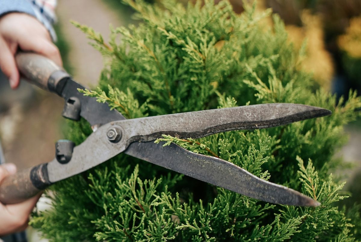 The email list cleaning cleaning conundrum
